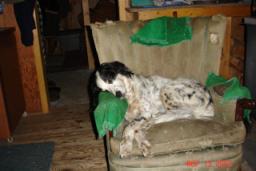 DEER CAMP 2007 026.jpg